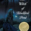 The Witch Of Blackbird Pond: A Newbery Award Winner-HarperCollins Publishers 2 The Witch Of Blackbird Pond: A Newbery Award Winner-HarperCollins Publishers -The Toy Maven Shop harp9780547550299
