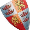 Liontouch Pretend-Play Foam Prince Lionheart Shield-Liontouch -The Toy Maven Shop hota29001