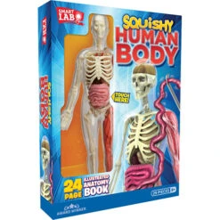 Squishy Human Body-Epoch Everlasting Play