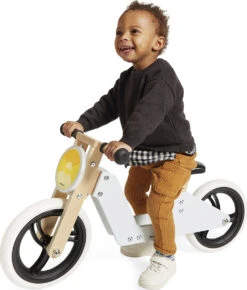 2-In-1 Tricycle-Janod -The Toy Maven Shop juraj03280 2
