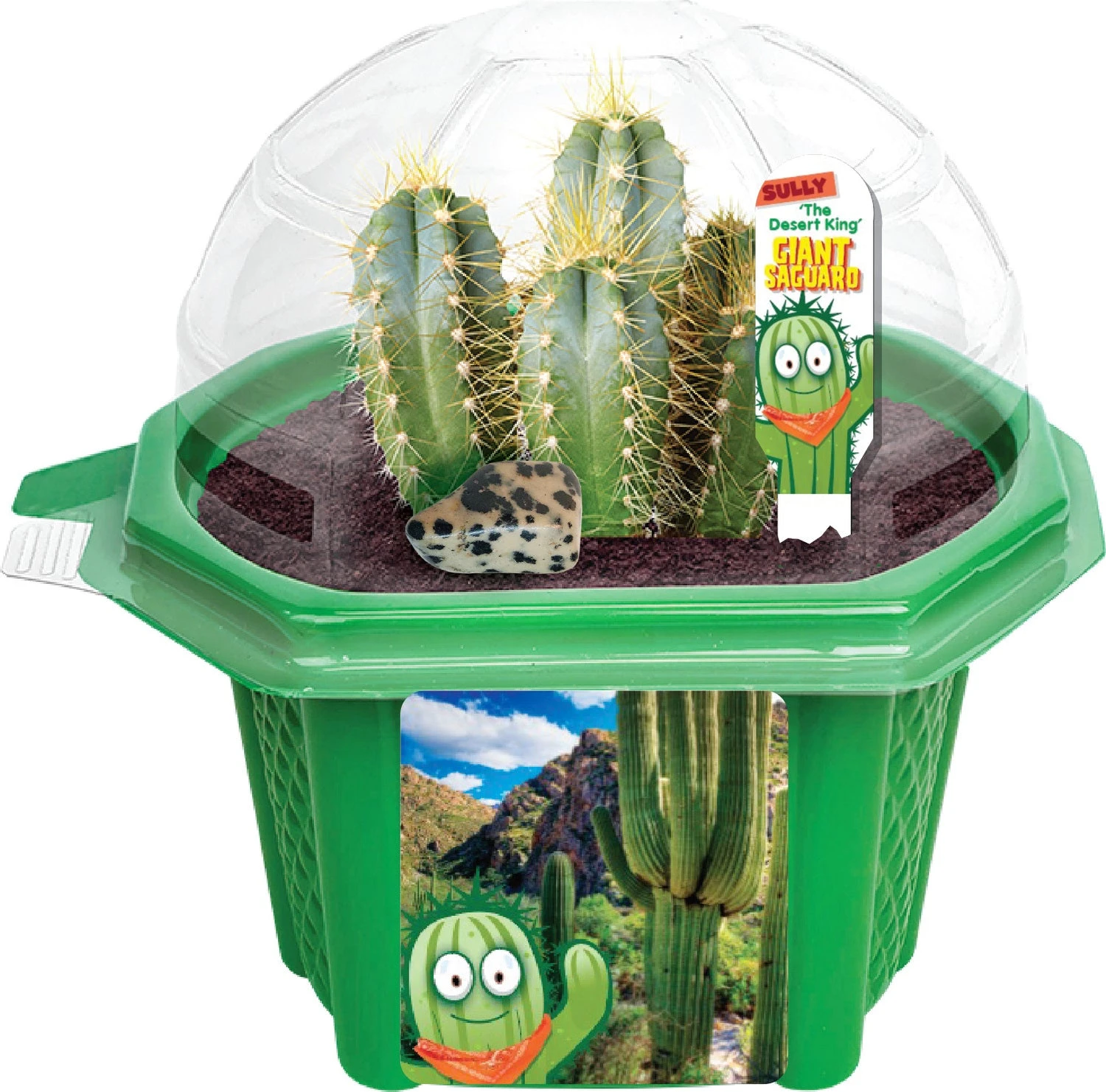 Sully the Desert King Giant Saguaro-Toys By Nature Sully The Desert King Giant Saguaro-Toys By Nature -The Toy Maven Shop scprcmsd31