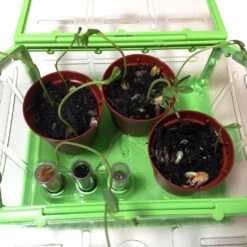 Tiny Gardening!-SmartLab Toys 4 Tiny Gardening!-SmartLab Toys -The Toy Maven Shop smlt860009347311 2