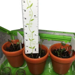 Tiny Gardening!-SmartLab Toys 7 Tiny Gardening!-SmartLab Toys -The Toy Maven Shop smlt860009347311 5