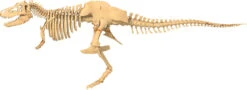 Giant Dinosaur Skeleton Kit-Thames & Kosmos -The Toy Maven Shop thak632120 2