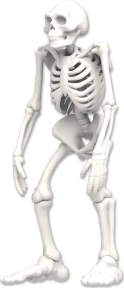 Dissect-It Discover-It Bigfoot Dig-Top Secret Toys 4 Dissect-It Discover-It Bigfoot Dig-Top Secret Toys -The Toy Maven Shop tpst1151 2