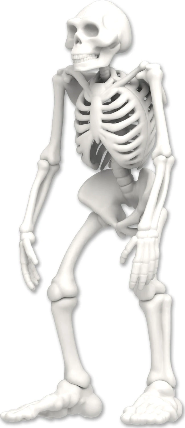 Dissect-It Discover-It Bigfoot Dig-Top Secret Toys Dissect-It Discover-It Bigfoot Dig-Top Secret Toys -The Toy Maven Shop tpst1151 2