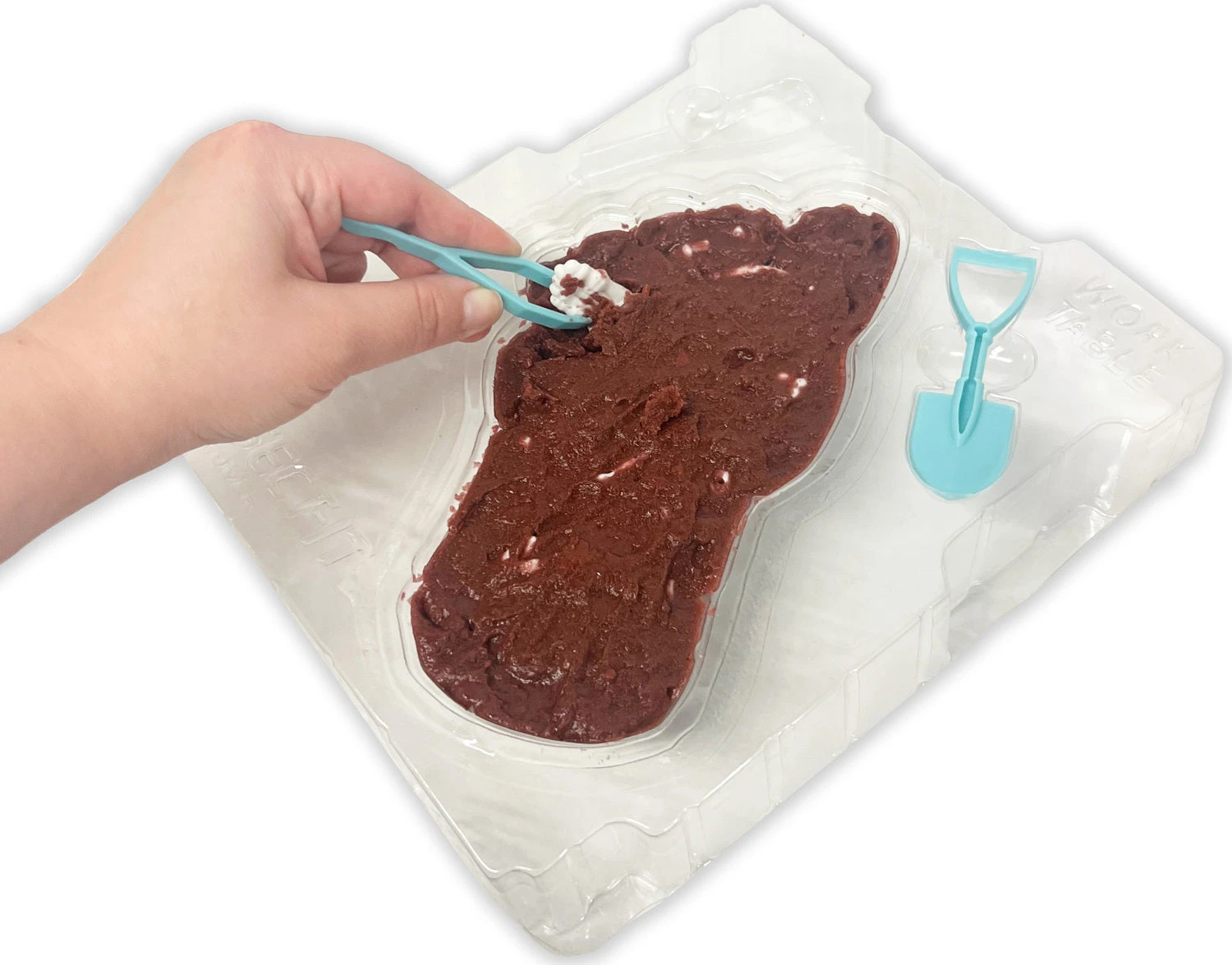 Dissect-It Discover-It Bigfoot Dig-Top Secret Toys Dissect-It Discover-It Bigfoot Dig-Top Secret Toys -The Toy Maven Shop tpst1151 3