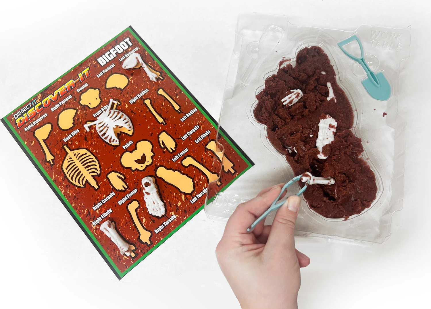 Dissect-It Discover-It Bigfoot Dig-Top Secret Toys Dissect-It Discover-It Bigfoot Dig-Top Secret Toys -The Toy Maven Shop tpst1151 4