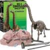 Kidzlabs - Dig A Dinosaur Skeleton - Brachiosaurus-The Toy Network