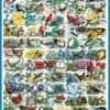 State Birds & Flowers - 1000 Piece - White Mountain Puzzles-White Mountain Puzzles -The Toy Maven Shop wmpu140pz