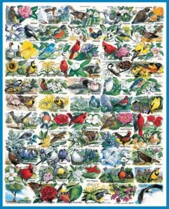 State Birds & Flowers - 1000 Piece - White Mountain Puzzles-White Mountain Puzzles